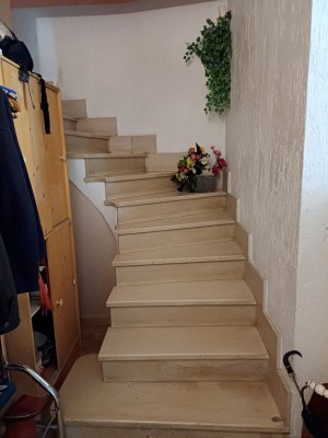 Voir la fiche