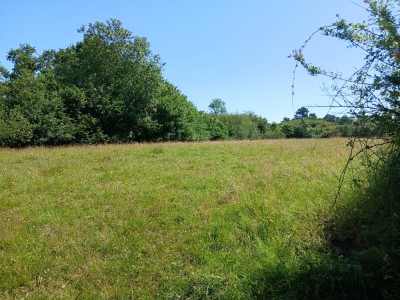 View property