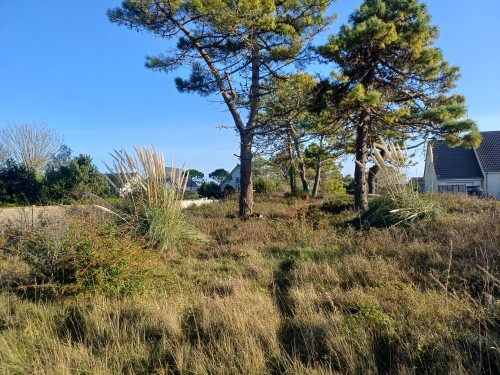 View property