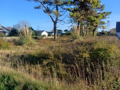 View property