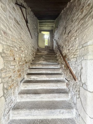 Voir la fiche