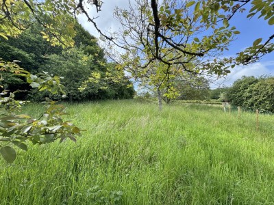 View property