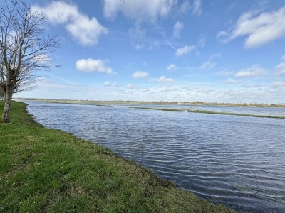 View property