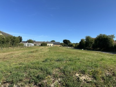 View property