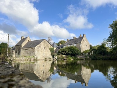 Voir la fiche